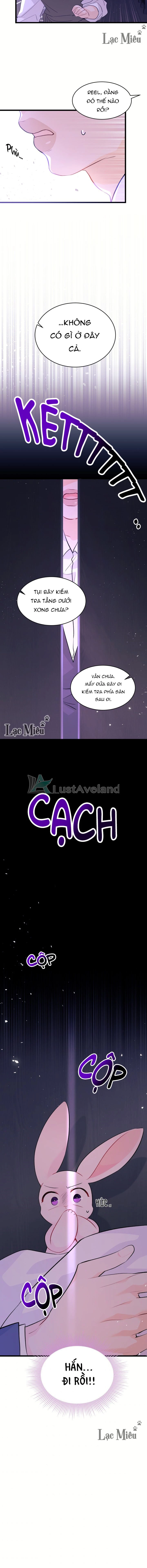 Mối Liên Kết Giữa Báo Đen Và Bé Thỏ Chapter 36 - Trang 2