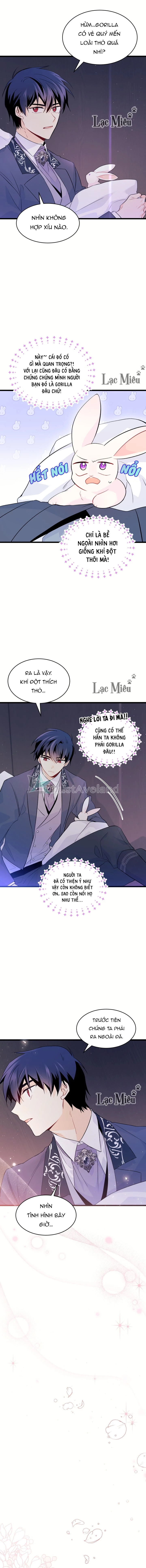 Mối Liên Kết Giữa Báo Đen Và Bé Thỏ Chapter 36 - Trang 2