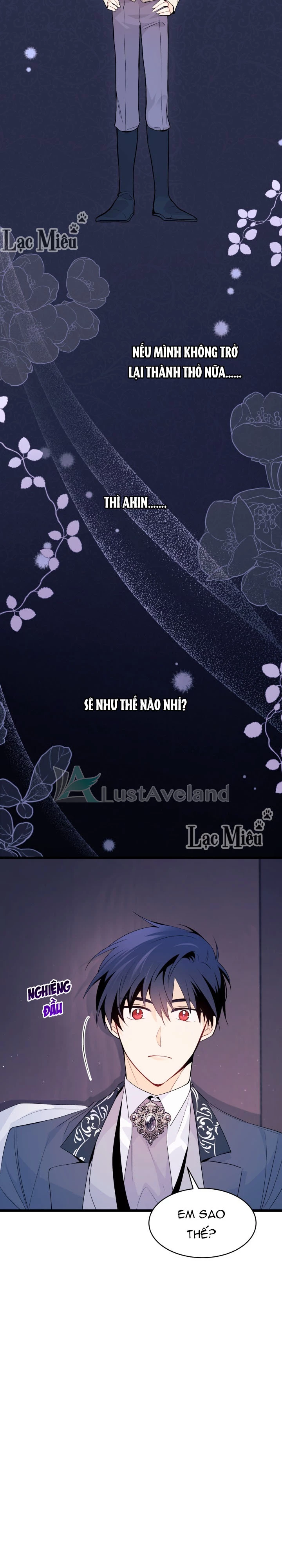 Mối Liên Kết Giữa Báo Đen Và Bé Thỏ Chapter 37 - Trang 2