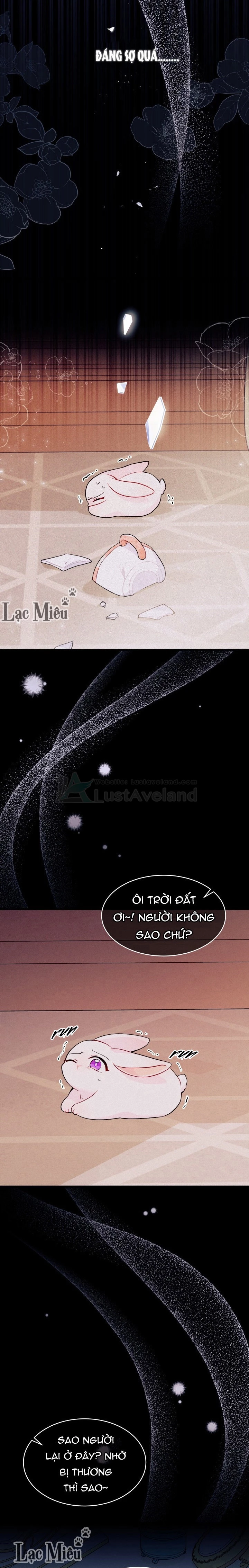 Mối Liên Kết Giữa Báo Đen Và Bé Thỏ Chapter 39 - Trang 2