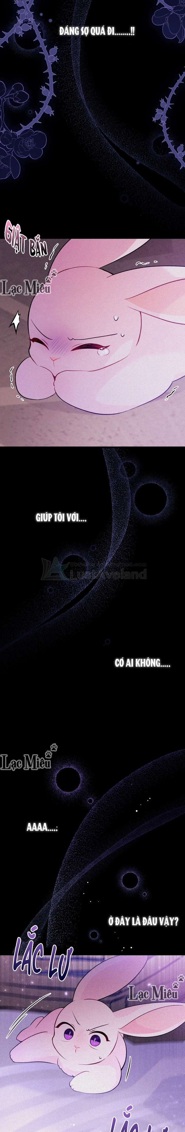 Mối Liên Kết Giữa Báo Đen Và Bé Thỏ Chapter 39 - Trang 2