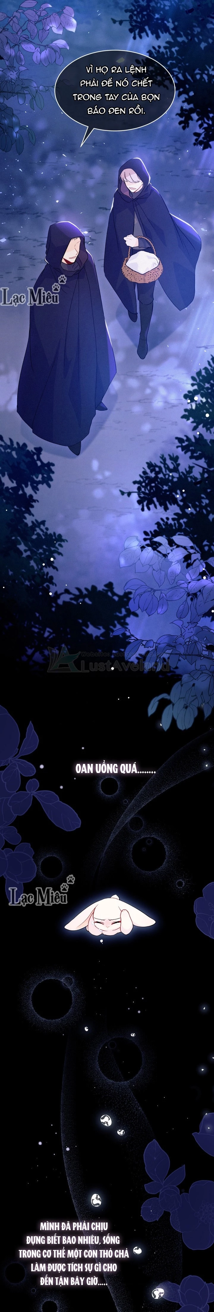 Mối Liên Kết Giữa Báo Đen Và Bé Thỏ Chapter 39 - Trang 2