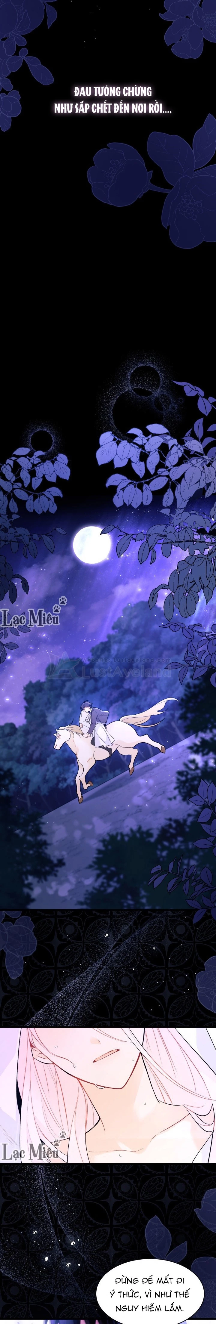 Mối Liên Kết Giữa Báo Đen Và Bé Thỏ Chapter 39 - Trang 2