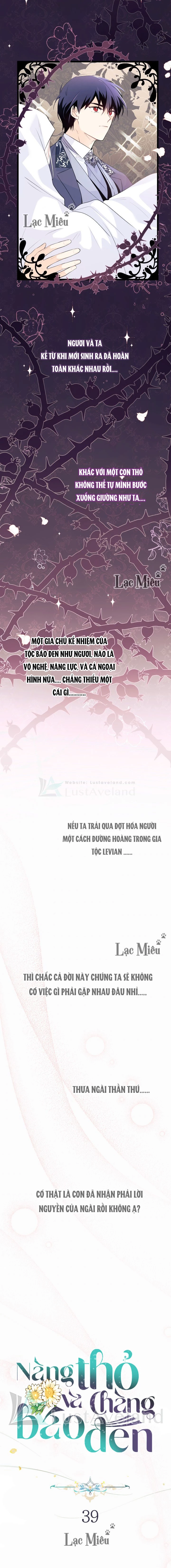 Mối Liên Kết Giữa Báo Đen Và Bé Thỏ Chapter 39 - Trang 2