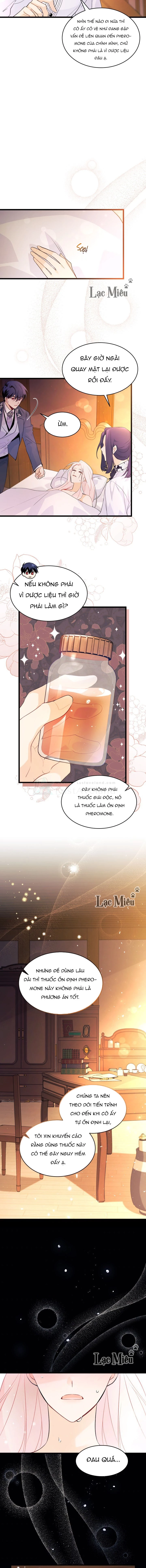 Mối Liên Kết Giữa Báo Đen Và Bé Thỏ Chapter 39 - Trang 2