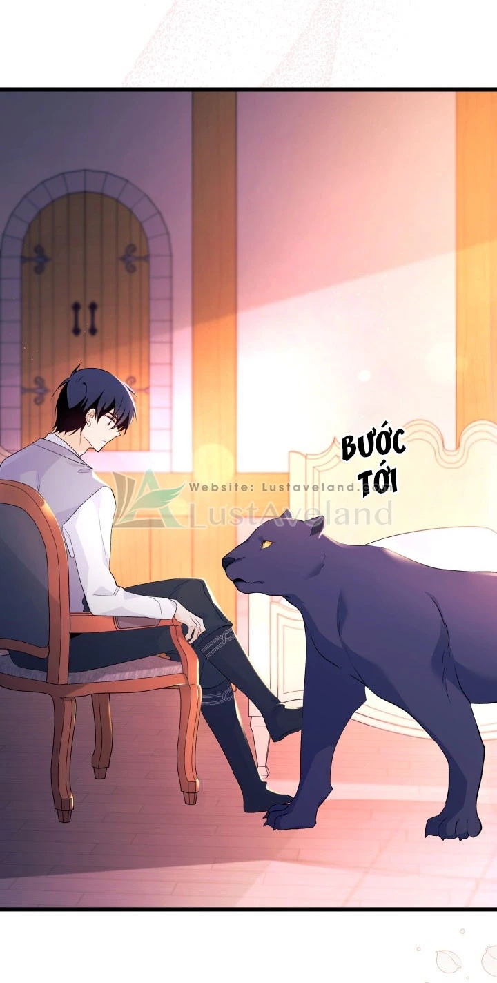 Mối Liên Kết Giữa Báo Đen Và Bé Thỏ Chapter 40 - Trang 2