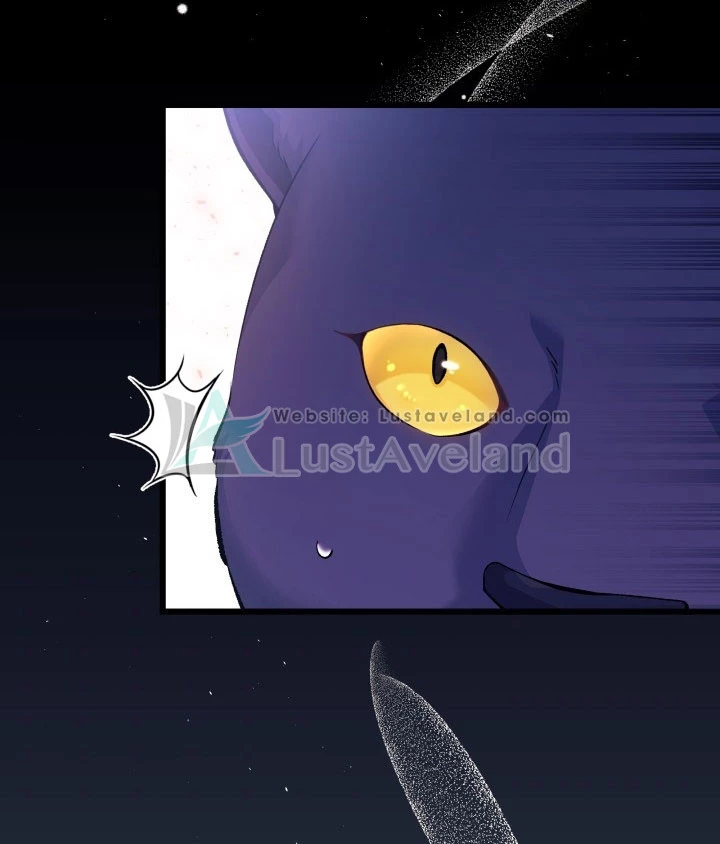 Mối Liên Kết Giữa Báo Đen Và Bé Thỏ Chapter 40 - Trang 2