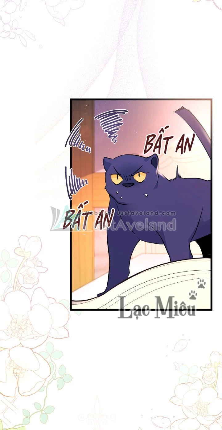 Mối Liên Kết Giữa Báo Đen Và Bé Thỏ Chapter 40 - Trang 2