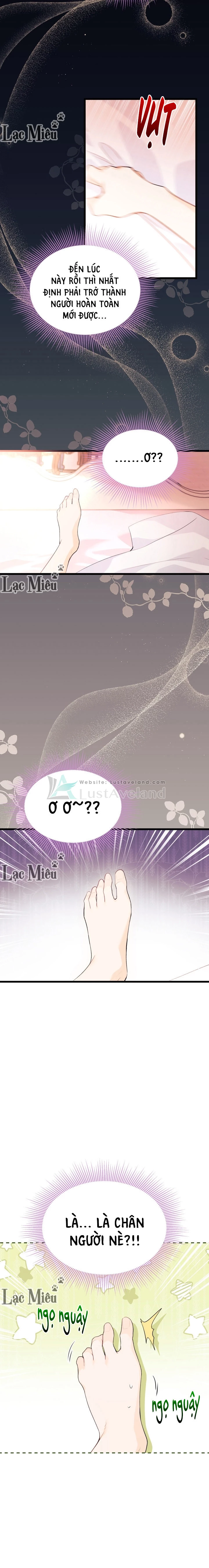 Mối Liên Kết Giữa Báo Đen Và Bé Thỏ Chapter 41 - Trang 2