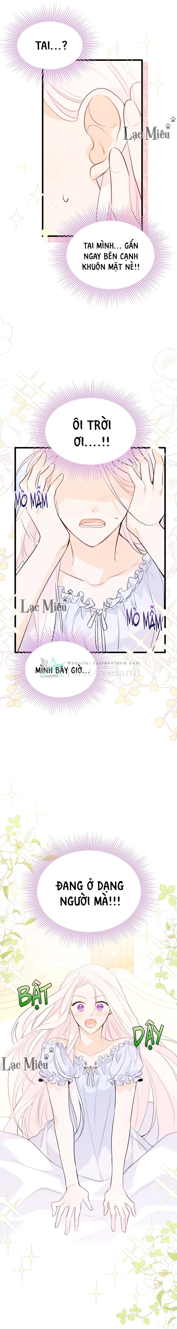 Mối Liên Kết Giữa Báo Đen Và Bé Thỏ Chapter 41 - Trang 2