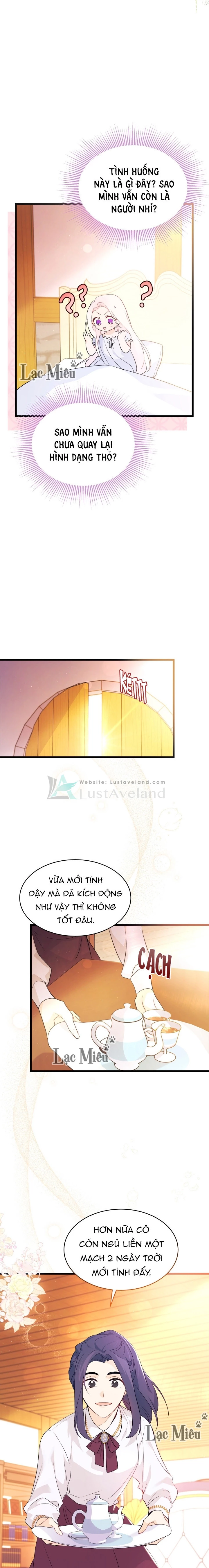 Mối Liên Kết Giữa Báo Đen Và Bé Thỏ Chapter 41 - Trang 2