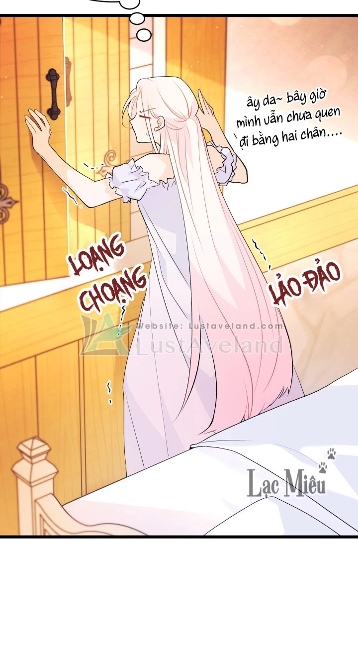 Mối Liên Kết Giữa Báo Đen Và Bé Thỏ Chapter 41 - Trang 2