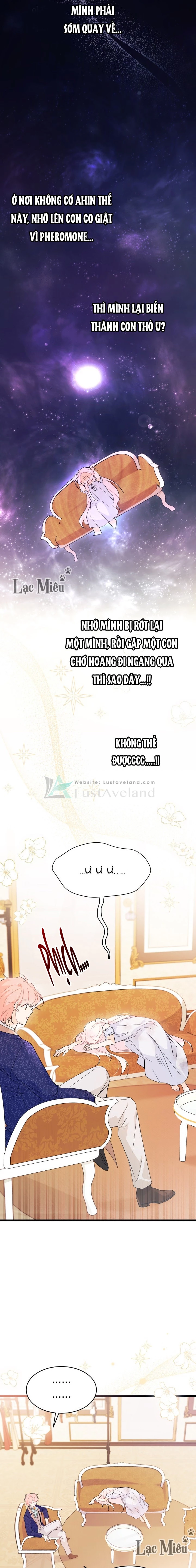 Mối Liên Kết Giữa Báo Đen Và Bé Thỏ Chapter 42 - Trang 2