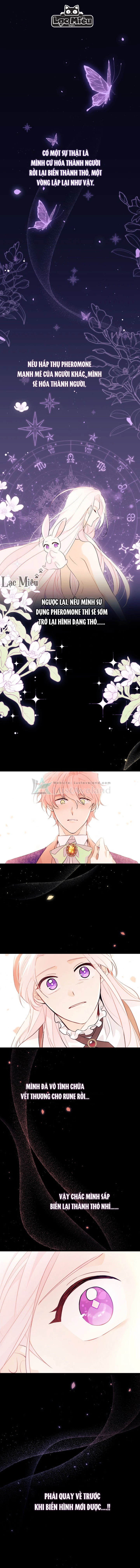 Mối Liên Kết Giữa Báo Đen Và Bé Thỏ Chapter 44 - Trang 2