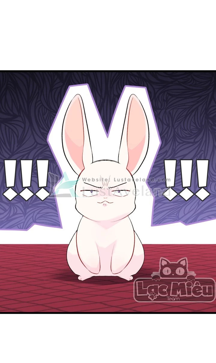 Mối Liên Kết Giữa Báo Đen Và Bé Thỏ Chapter 46 - Trang 2