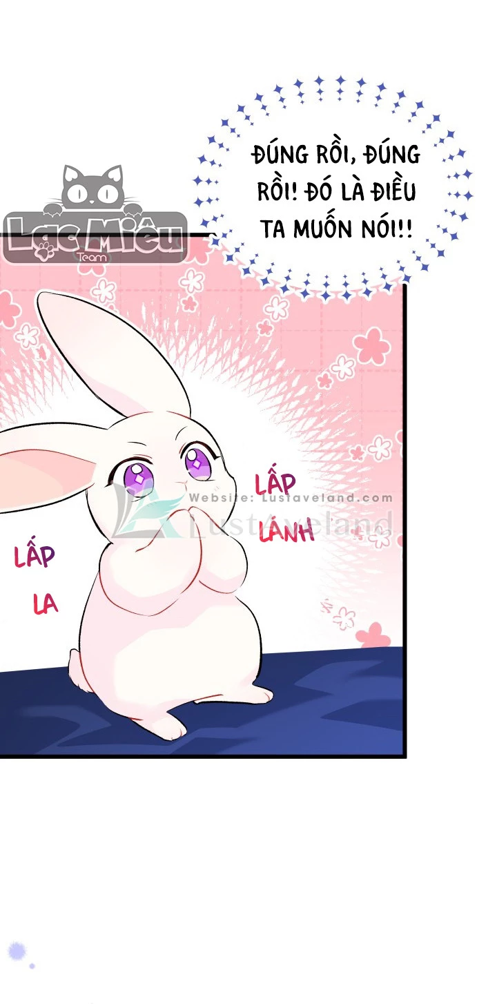 Mối Liên Kết Giữa Báo Đen Và Bé Thỏ Chapter 46 - Trang 2