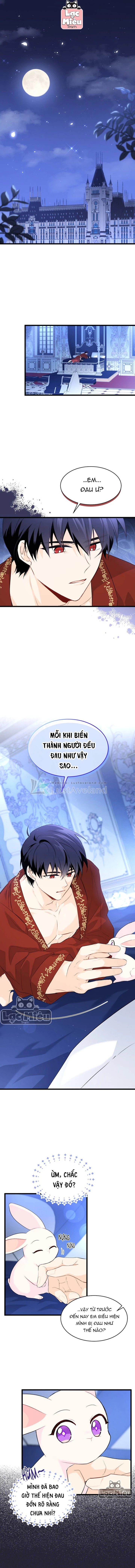 Mối Liên Kết Giữa Báo Đen Và Bé Thỏ Chapter 47 - Trang 2