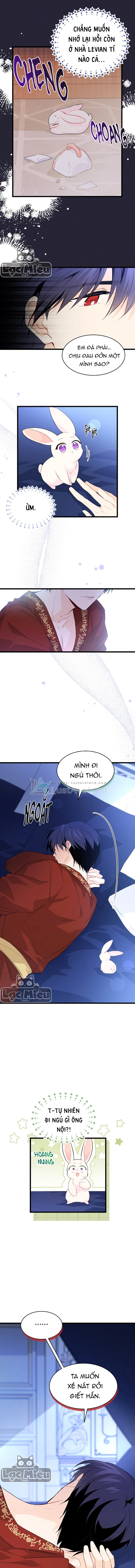 Mối Liên Kết Giữa Báo Đen Và Bé Thỏ Chapter 47 - Trang 2