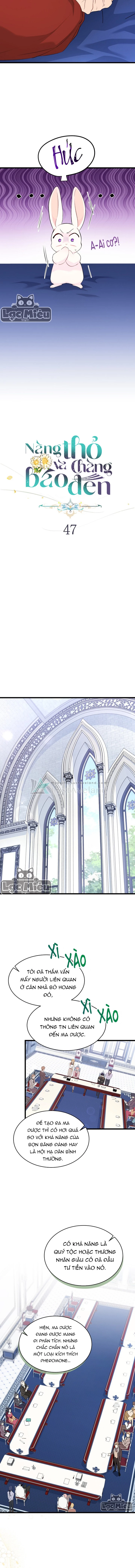 Mối Liên Kết Giữa Báo Đen Và Bé Thỏ Chapter 47 - Trang 2