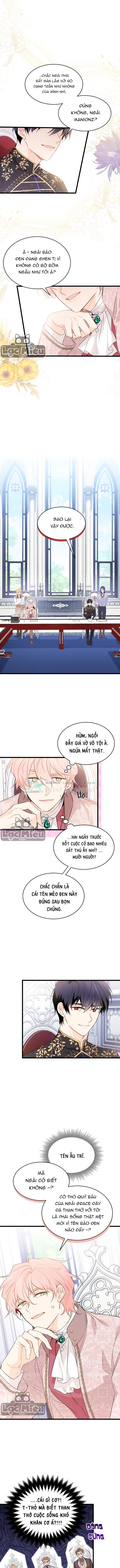 Mối Liên Kết Giữa Báo Đen Và Bé Thỏ Chapter 47 - Trang 2