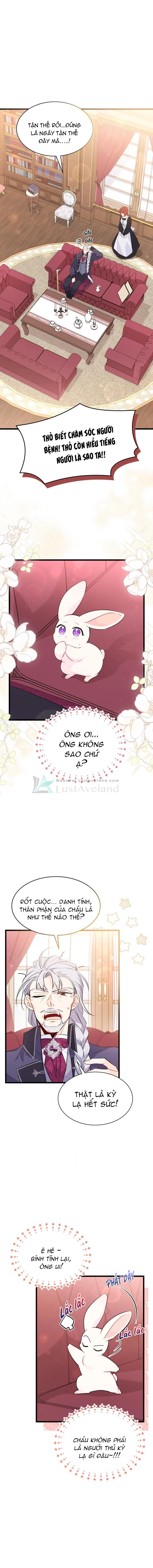 Mối Liên Kết Giữa Báo Đen Và Bé Thỏ Chapter 48 - Trang 2