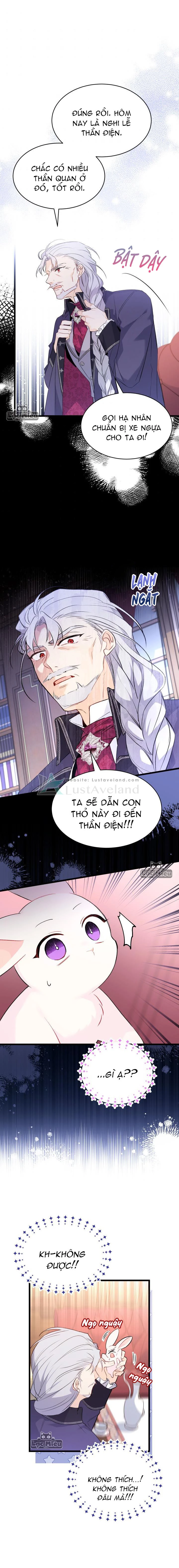 Mối Liên Kết Giữa Báo Đen Và Bé Thỏ Chapter 48 - Trang 2