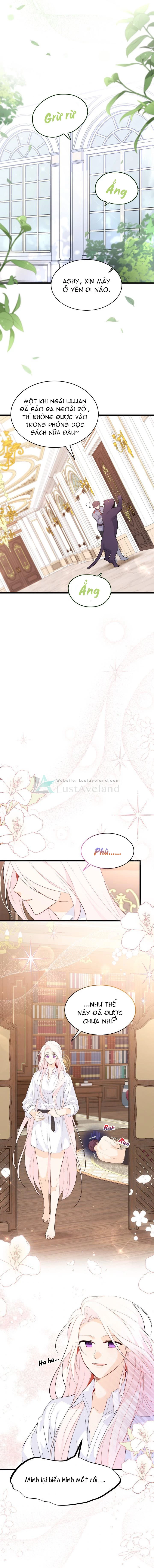 Mối Liên Kết Giữa Báo Đen Và Bé Thỏ Chapter 48 - Trang 2