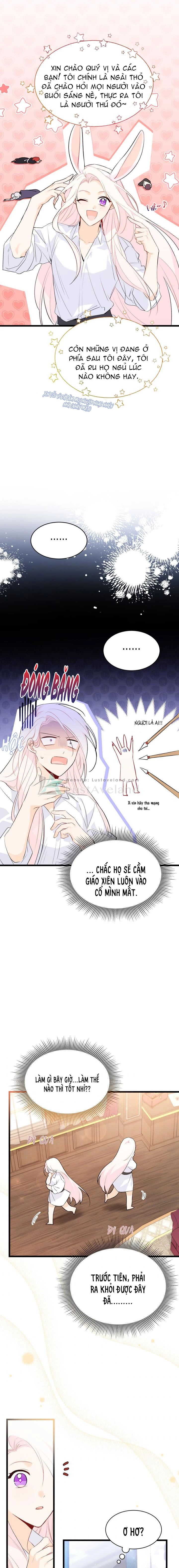 Mối Liên Kết Giữa Báo Đen Và Bé Thỏ Chapter 48 - Trang 2