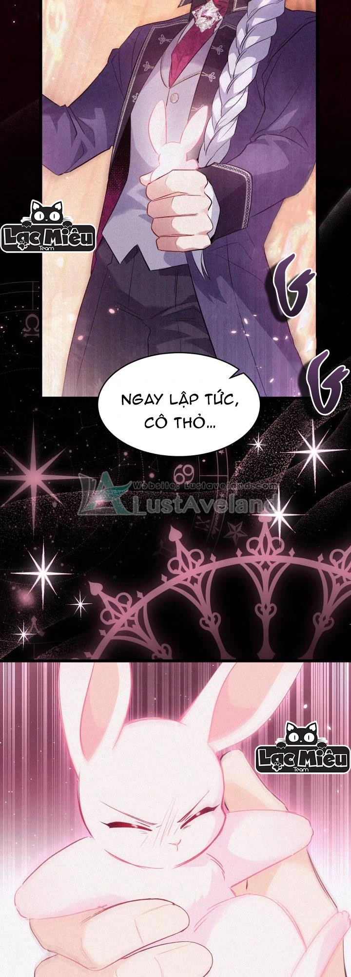 Mối Liên Kết Giữa Báo Đen Và Bé Thỏ Chapter 49 - Trang 2