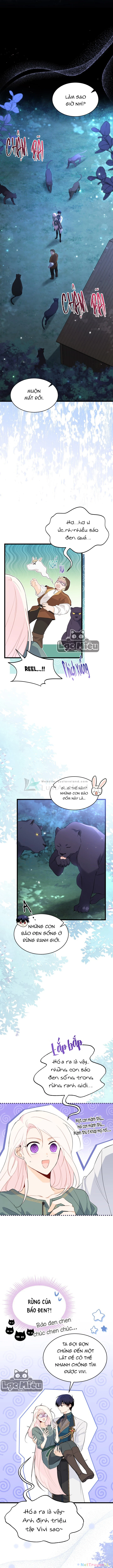 Mối Liên Kết Giữa Báo Đen Và Bé Thỏ Chapter 51 - Trang 2