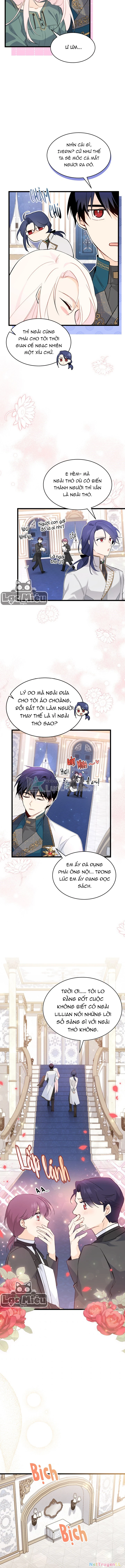 Mối Liên Kết Giữa Báo Đen Và Bé Thỏ Chapter 51 - Trang 2