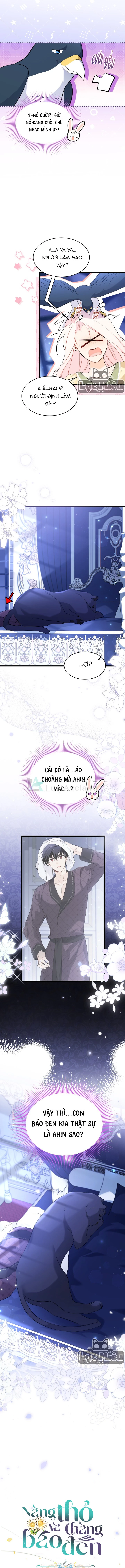 Mối Liên Kết Giữa Báo Đen Và Bé Thỏ Chapter 54 - Trang 2