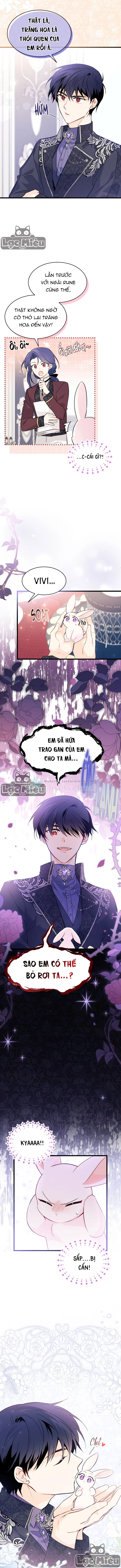 Mối Liên Kết Giữa Báo Đen Và Bé Thỏ Chapter 55 - Trang 2