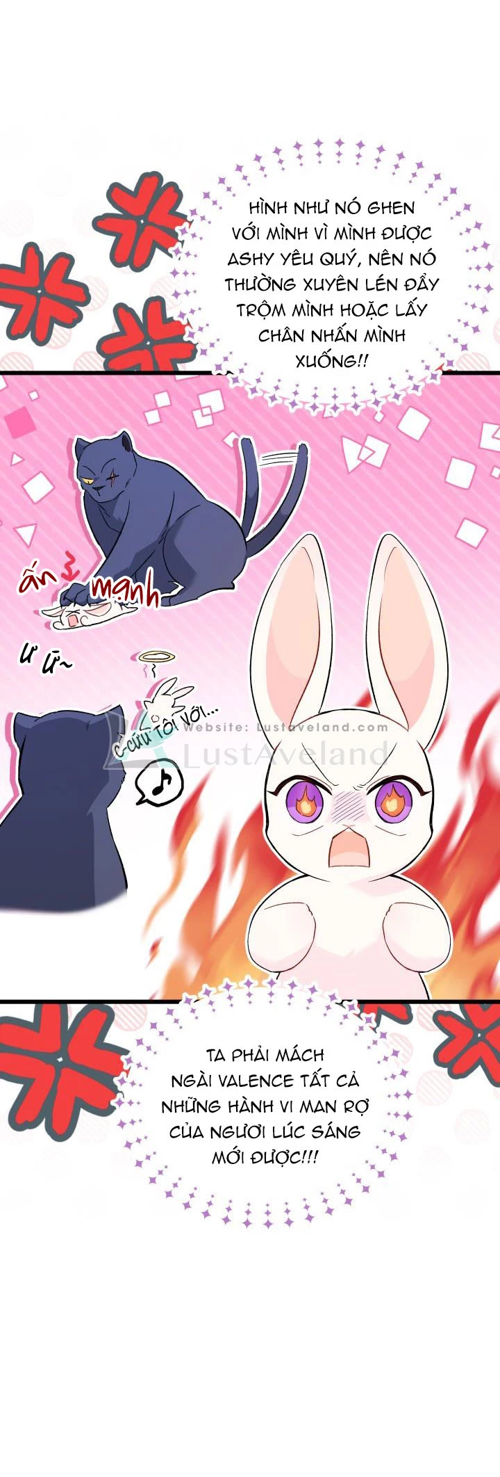 Mối Liên Kết Giữa Báo Đen Và Bé Thỏ Chapter 56 - Trang 2