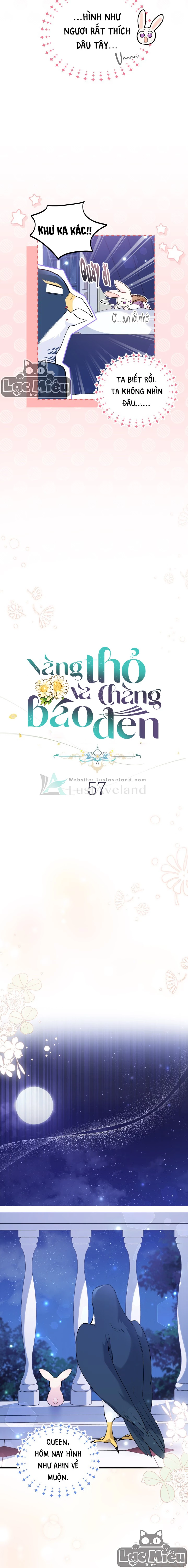 Mối Liên Kết Giữa Báo Đen Và Bé Thỏ Chapter 57 - Trang 2
