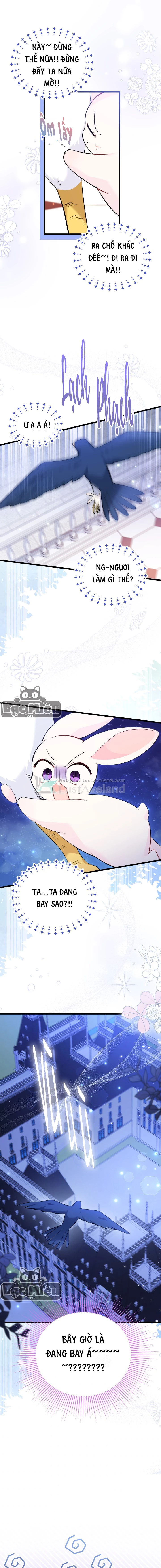 Mối Liên Kết Giữa Báo Đen Và Bé Thỏ Chapter 57 - Trang 2