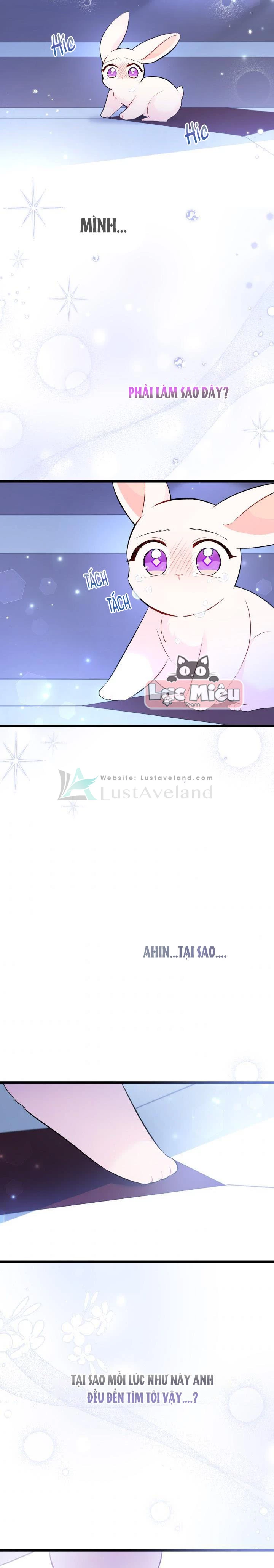 Mối Liên Kết Giữa Báo Đen Và Bé Thỏ Chapter 58 - Trang 2