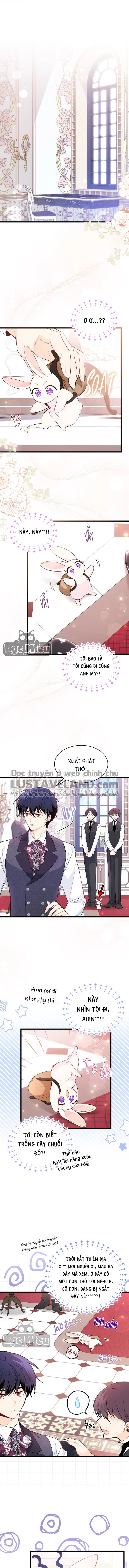 Mối Liên Kết Giữa Báo Đen Và Bé Thỏ Chapter 59 - Trang 2