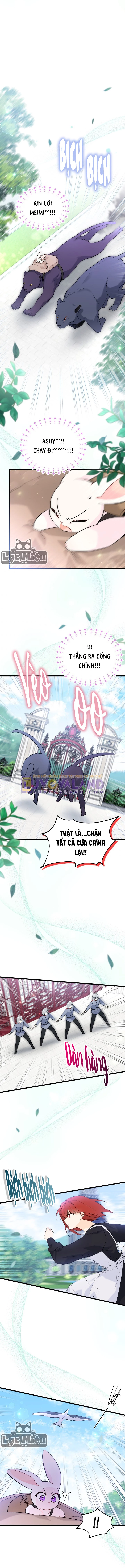 Mối Liên Kết Giữa Báo Đen Và Bé Thỏ Chapter 60 - Trang 2