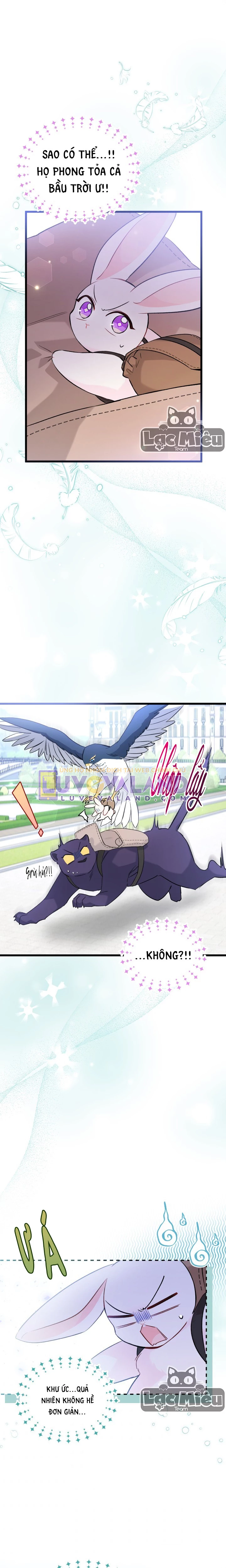 Mối Liên Kết Giữa Báo Đen Và Bé Thỏ Chapter 60 - Trang 2