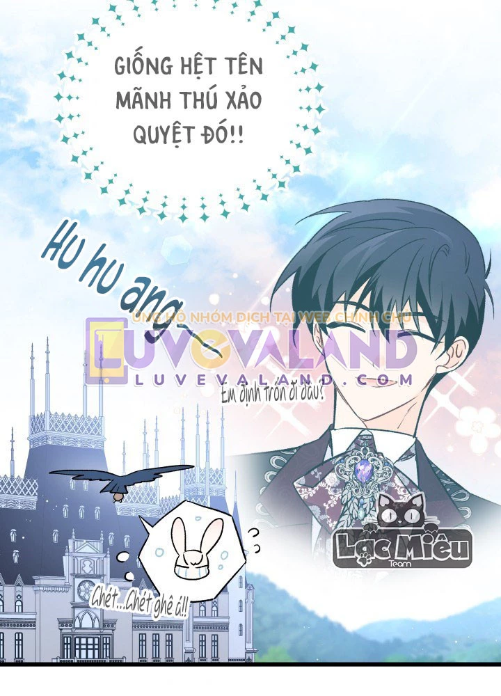 Mối Liên Kết Giữa Báo Đen Và Bé Thỏ Chapter 60 - Trang 2