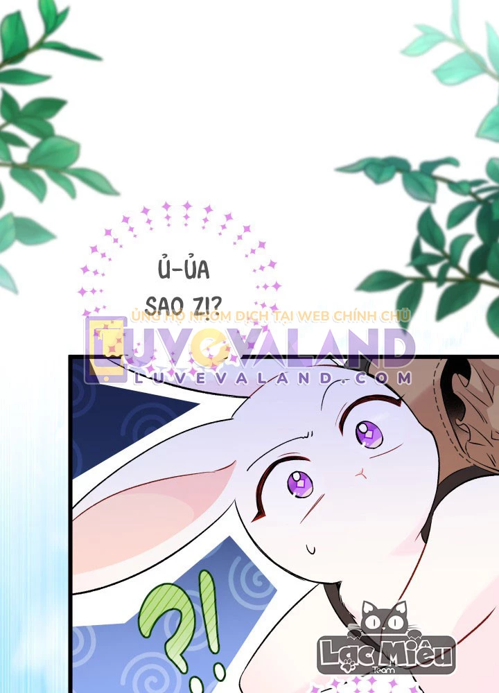 Mối Liên Kết Giữa Báo Đen Và Bé Thỏ Chapter 60 - Trang 2