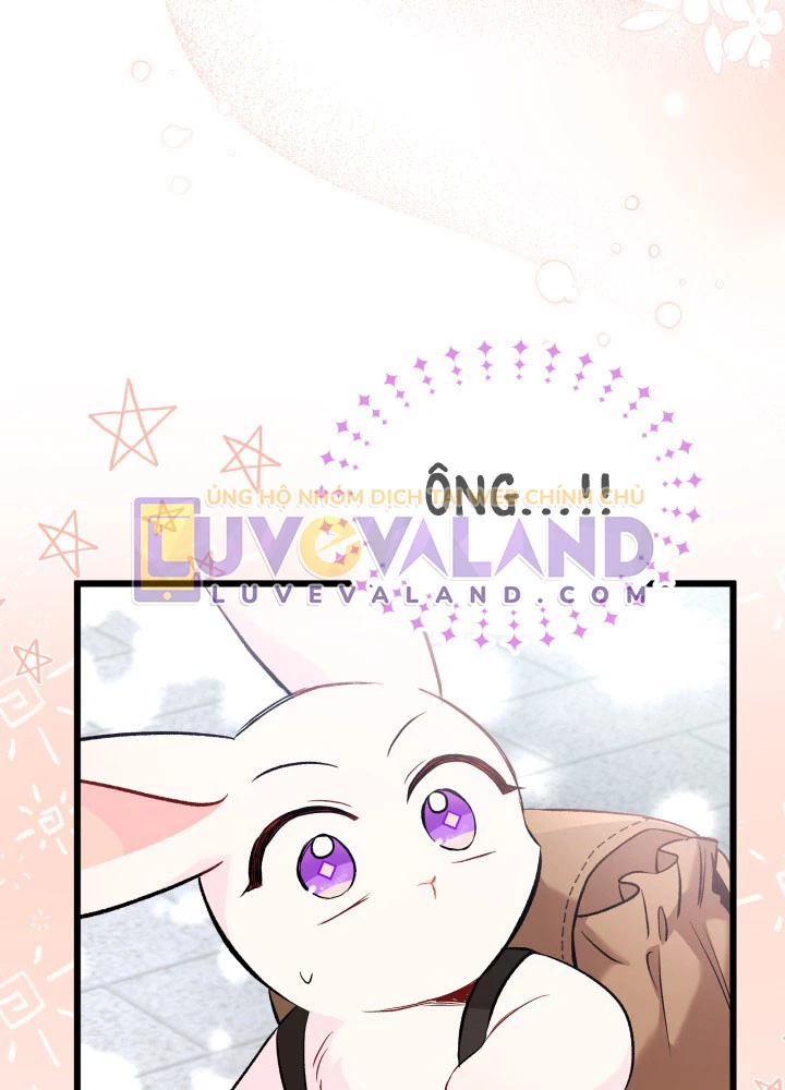 Mối Liên Kết Giữa Báo Đen Và Bé Thỏ Chapter 60 - Trang 2