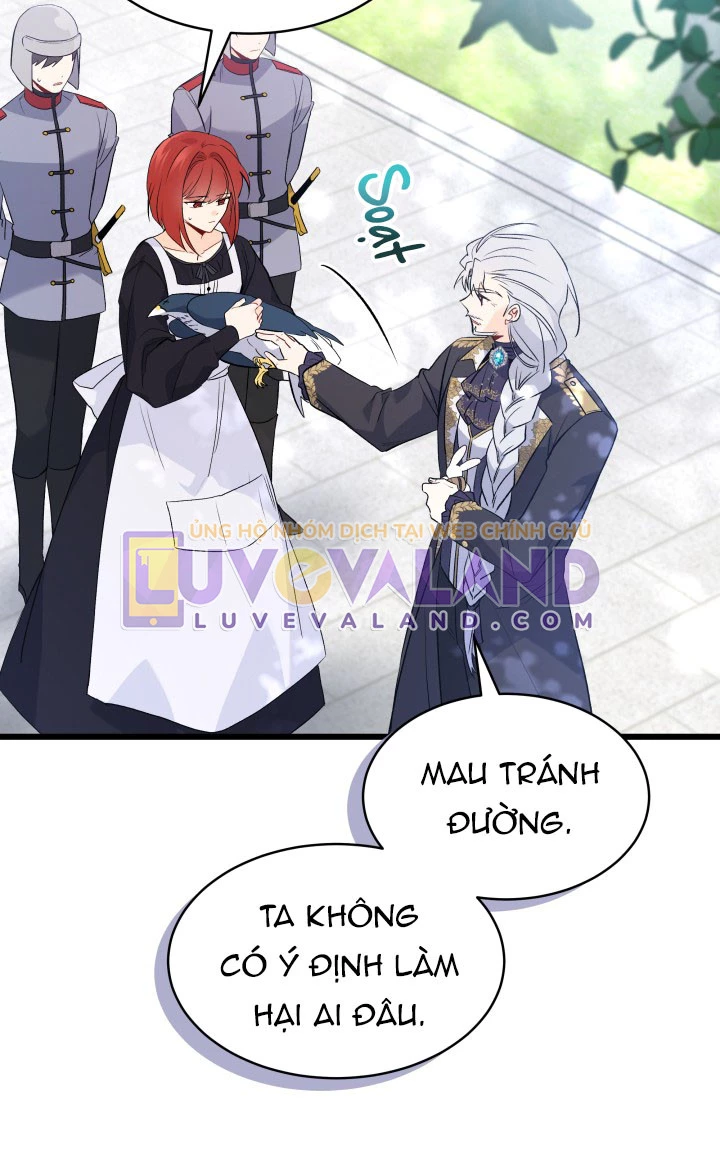 Mối Liên Kết Giữa Báo Đen Và Bé Thỏ Chapter 60 - Trang 2