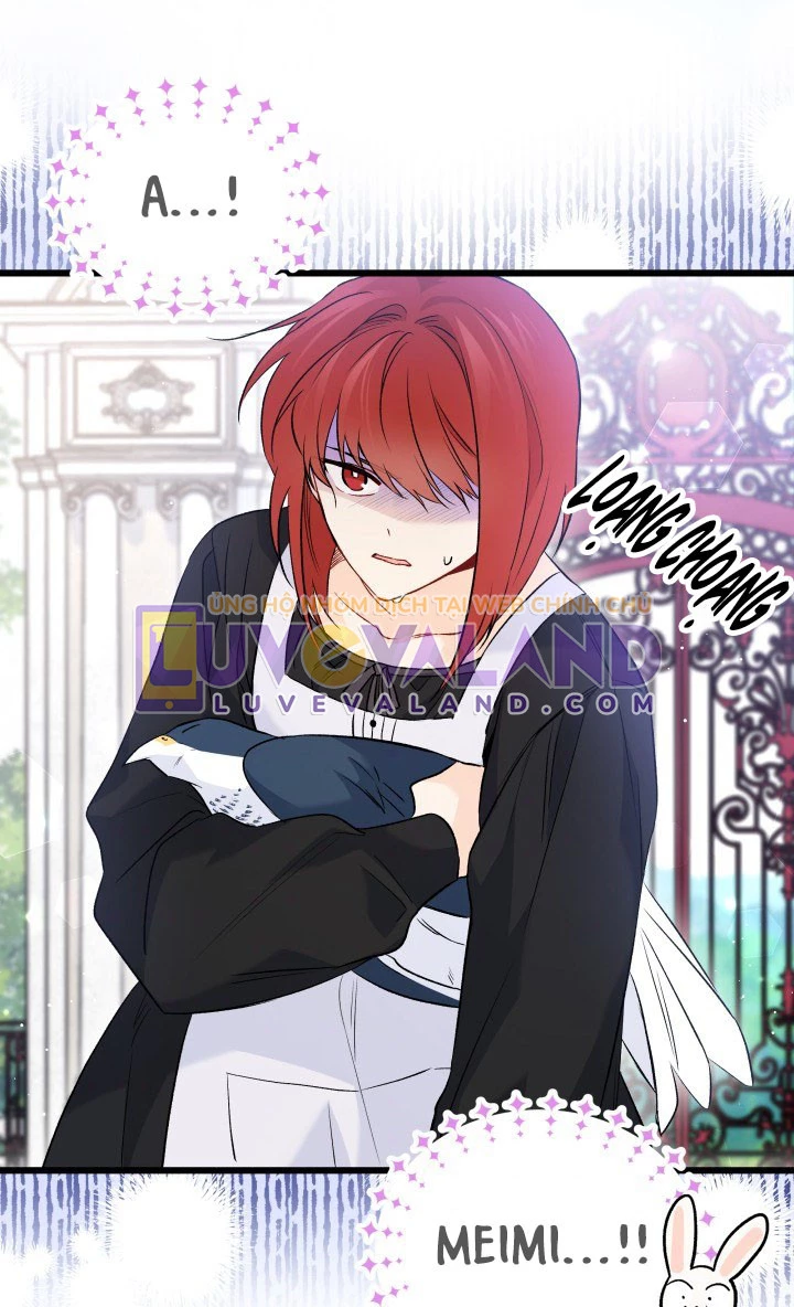 Mối Liên Kết Giữa Báo Đen Và Bé Thỏ Chapter 60 - Trang 2