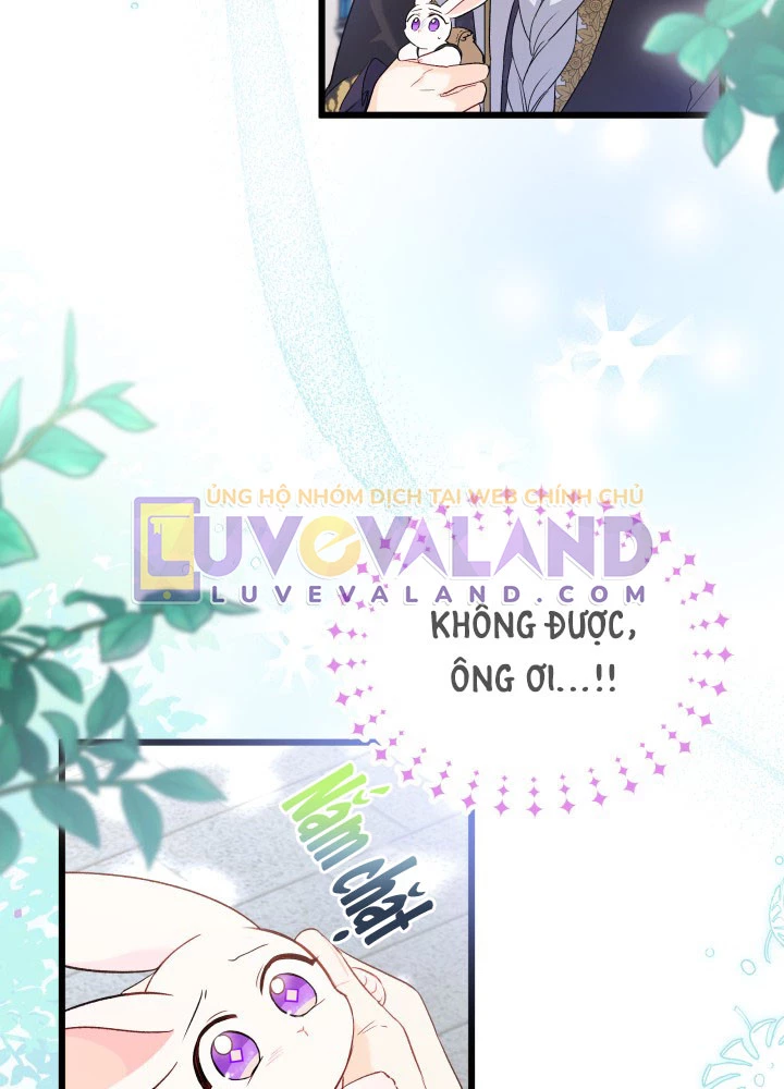 Mối Liên Kết Giữa Báo Đen Và Bé Thỏ Chapter 60 - Trang 2