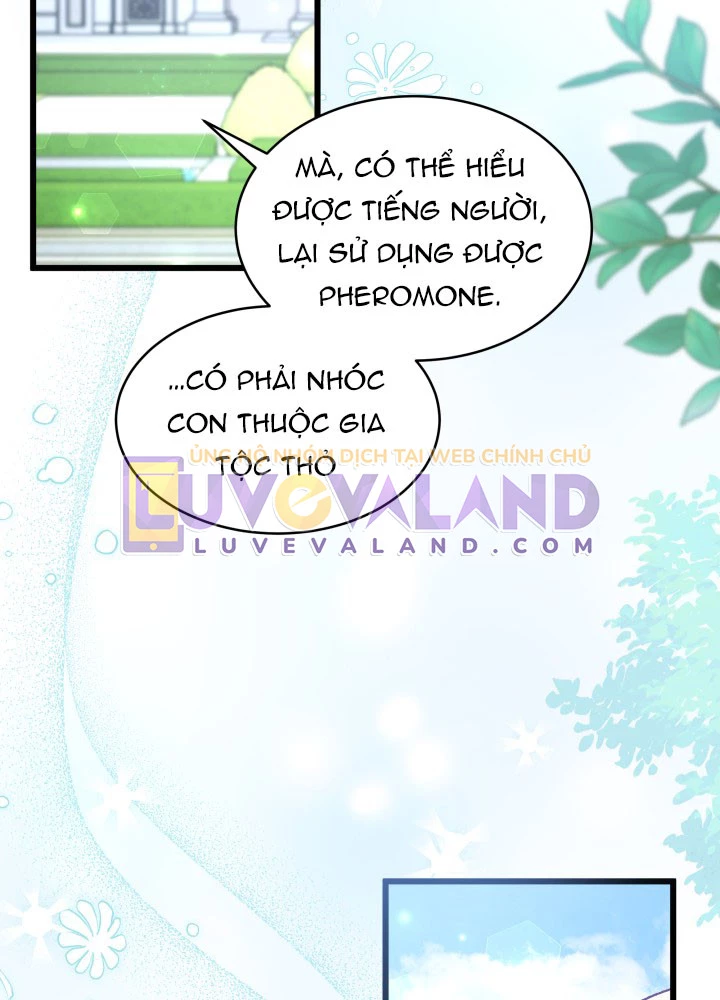 Mối Liên Kết Giữa Báo Đen Và Bé Thỏ Chapter 60 - Trang 2