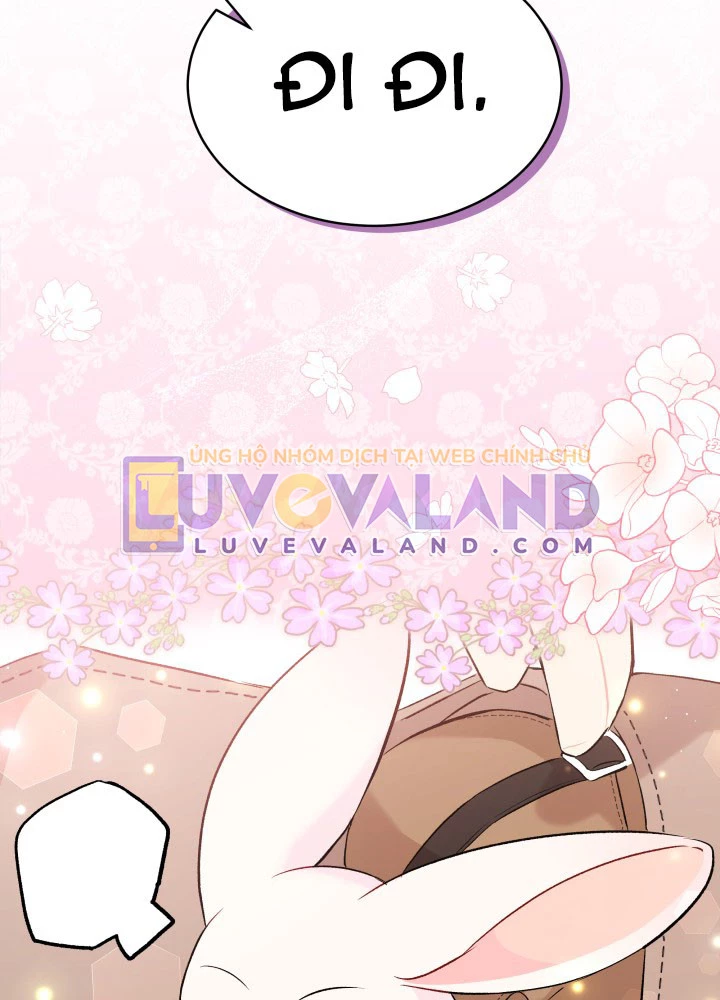 Mối Liên Kết Giữa Báo Đen Và Bé Thỏ Chapter 60 - Trang 2