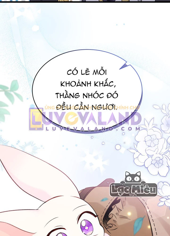Mối Liên Kết Giữa Báo Đen Và Bé Thỏ Chapter 60 - Trang 2