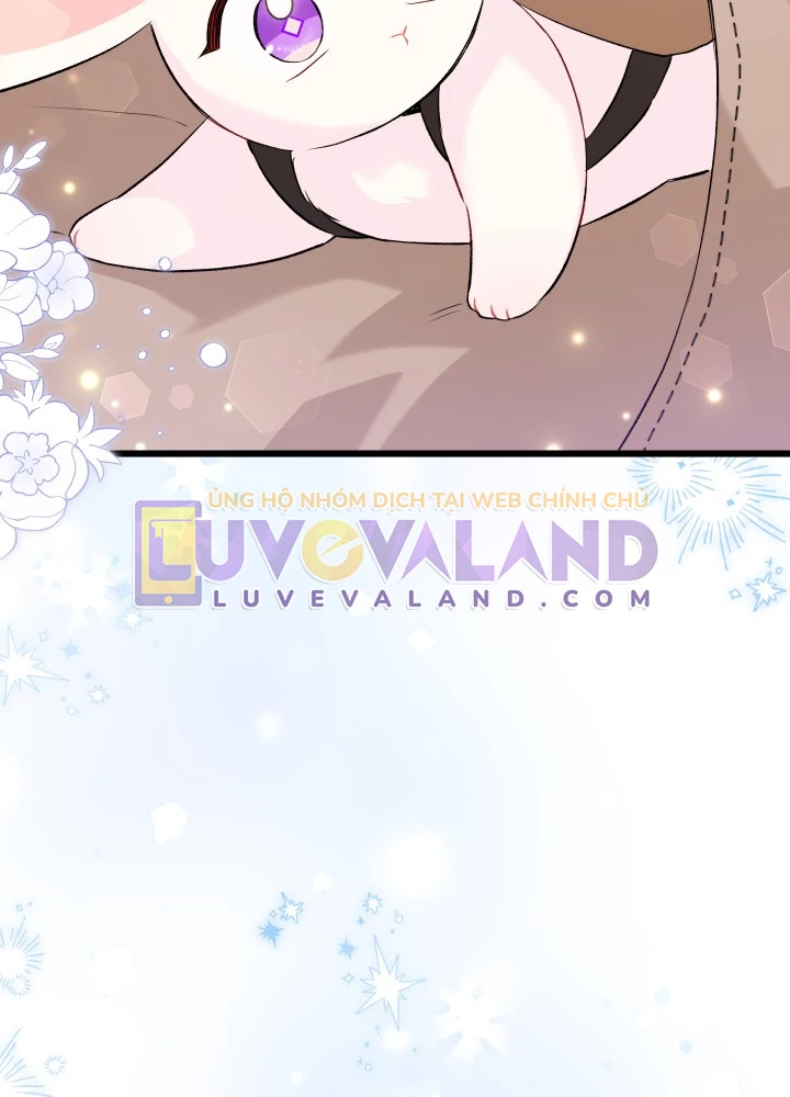 Mối Liên Kết Giữa Báo Đen Và Bé Thỏ Chapter 60 - Trang 2